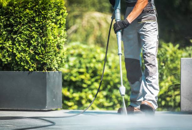 Best Spring Cleaning  in Pearland, TX