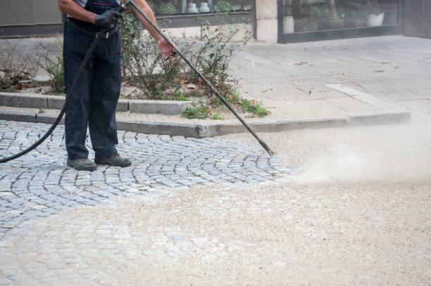 Best Roof Washing  in Pearland, TX